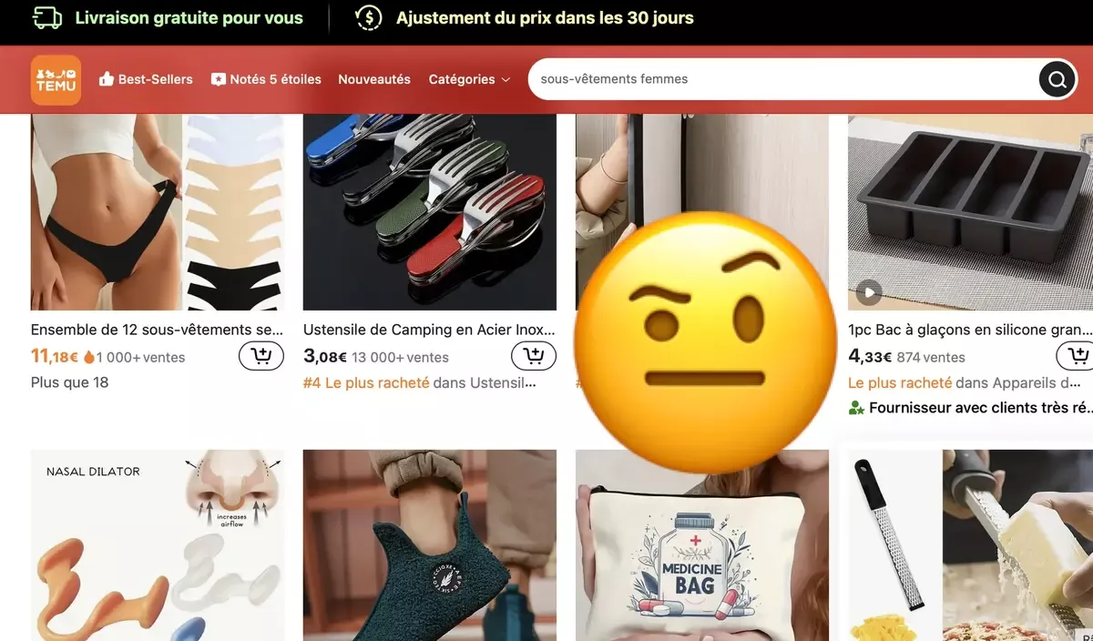 Vignette de l'article
