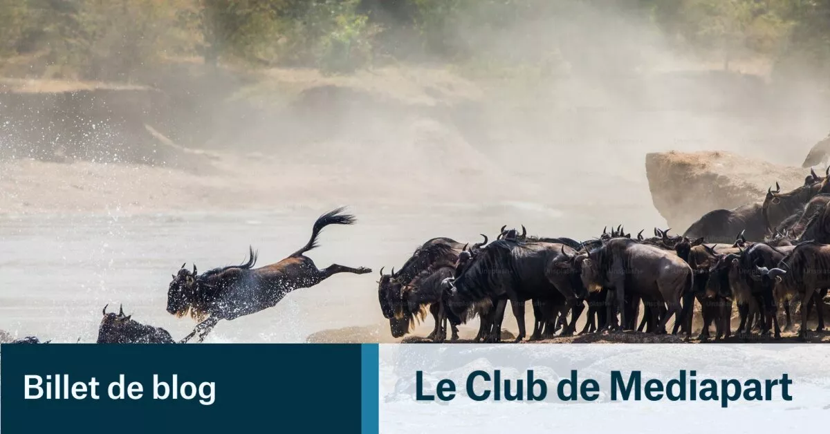Vignette de l'article