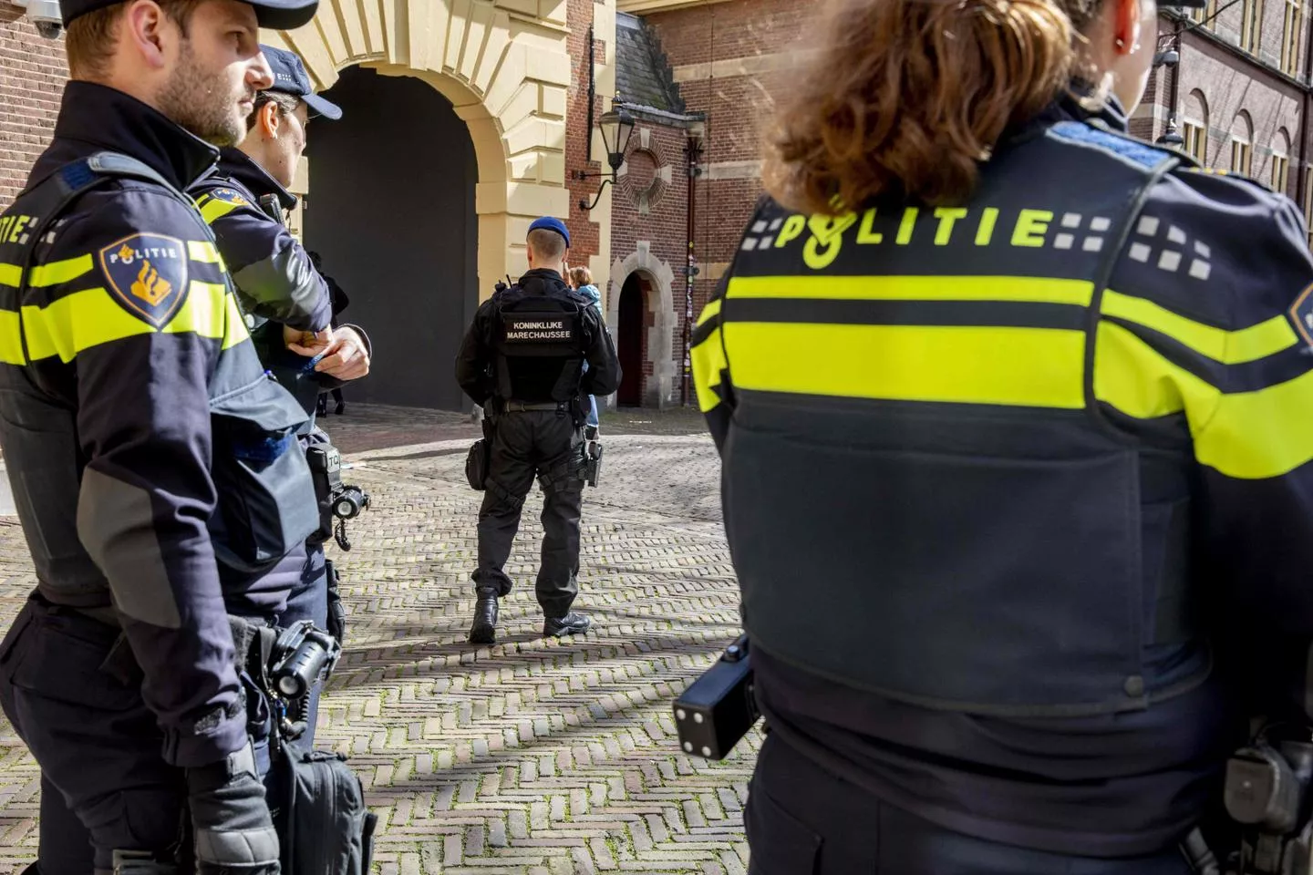 Vignette de l'article